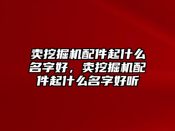 賣挖掘機(jī)配件起什么名字好，賣挖掘機(jī)配件起什么名字好聽(tīng)