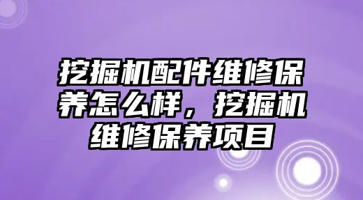 挖掘機配件維修保養怎么樣，挖掘機維修保養項目