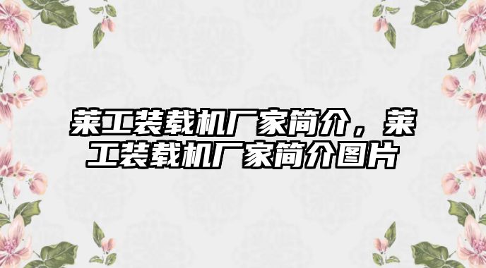 萊工裝載機廠家簡介，萊工裝載機廠家簡介圖片