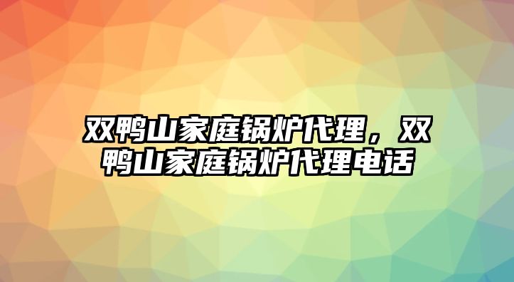 雙鴨山家庭鍋爐代理，雙鴨山家庭鍋爐代理電話