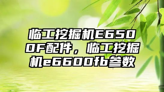 臨工挖掘機E6500F配件，臨工挖掘機e6600fb參數