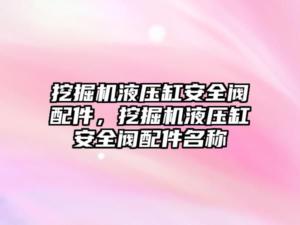 挖掘機液壓缸安全閥配件，挖掘機液壓缸安全閥配件名稱