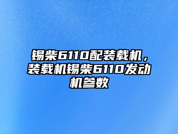 錫柴6110配裝載機，裝載機錫柴6110發動機參數