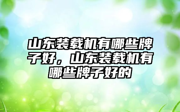 山東裝載機有哪些牌子好，山東裝載機有哪些牌子好的