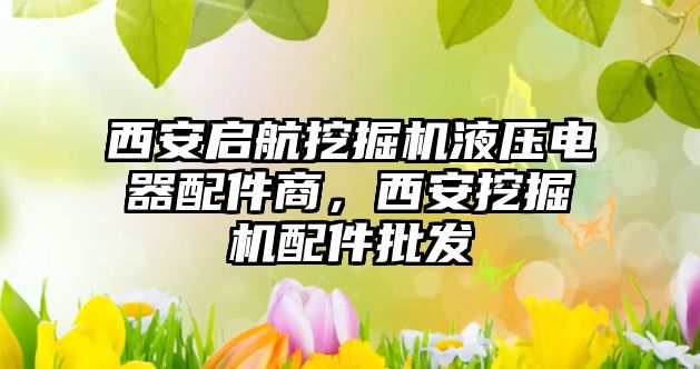 西安啟航挖掘機液壓電器配件商，西安挖掘機配件批發(fā)