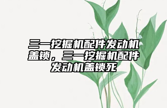 三一挖掘機配件發動機蓋鎖，三一挖掘機配件發動機蓋鎖死