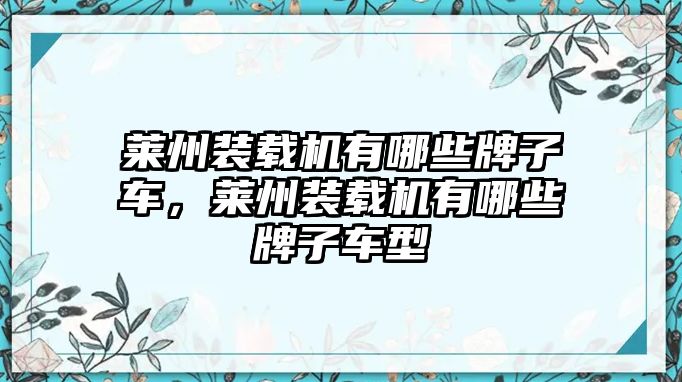 萊州裝載機有哪些牌子車，萊州裝載機有哪些牌子車型