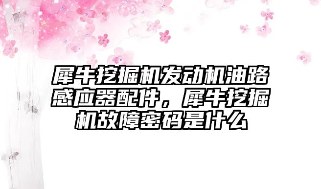 犀牛挖掘機發動機油路感應器配件，犀牛挖掘機故障密碼是什么