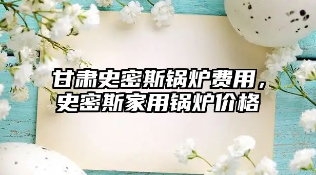 甘肅史密斯鍋爐費用，史密斯家用鍋爐價格