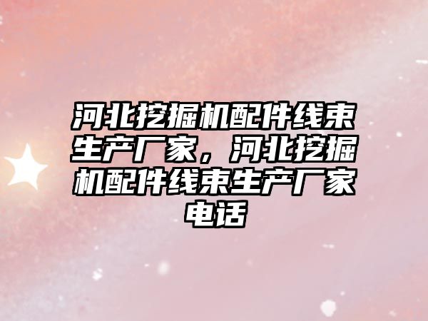 河北挖掘機配件線束生產廠家，河北挖掘機配件線束生產廠家電話