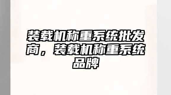 裝載機(jī)稱重系統(tǒng)批發(fā)商，裝載機(jī)稱重系統(tǒng)品牌