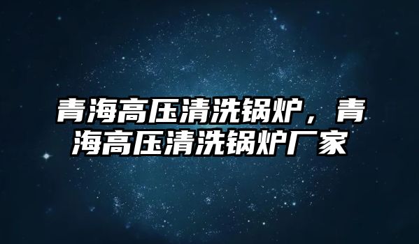 青海高壓清洗鍋爐，青海高壓清洗鍋爐廠家