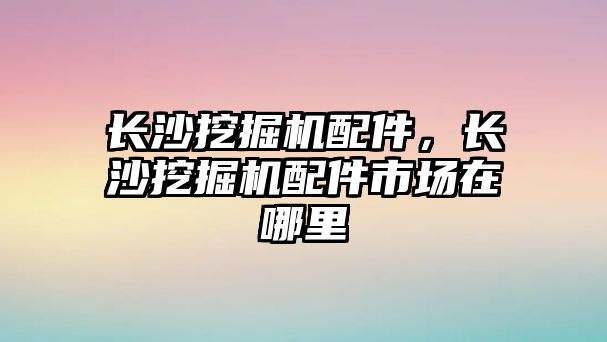 長沙挖掘機(jī)配件，長沙挖掘機(jī)配件市場在哪里