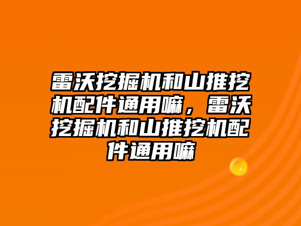 雷沃挖掘機和山推挖機配件通用嘛，雷沃挖掘機和山推挖機配件通用嘛