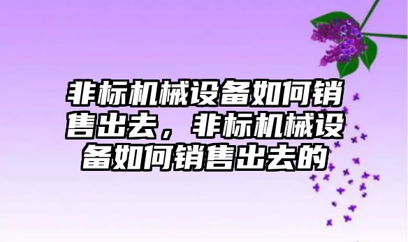 非標機械設備如何銷售出去，非標機械設備如何銷售出去的