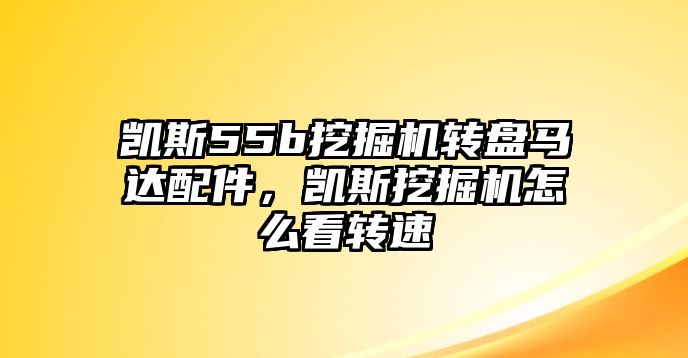 凱斯55b挖掘機(jī)轉(zhuǎn)盤馬達(dá)配件，凱斯挖掘機(jī)怎么看轉(zhuǎn)速