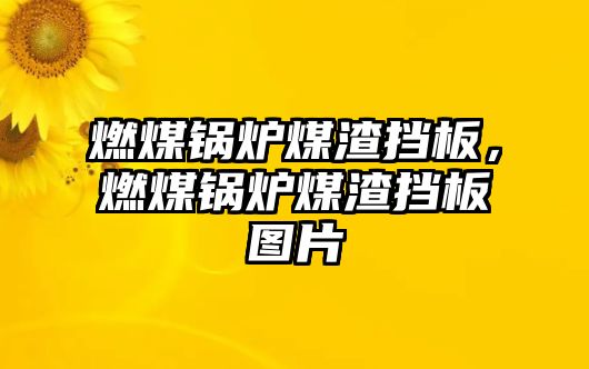 燃煤鍋爐煤渣擋板，燃煤鍋爐煤渣擋板圖片