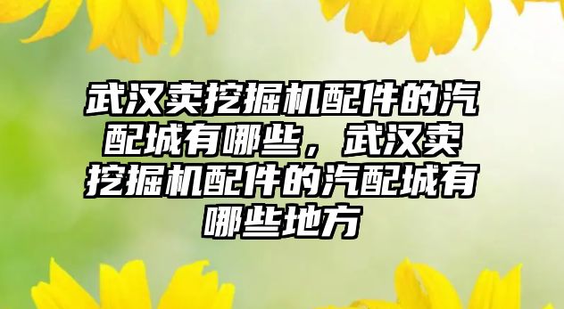 武漢賣挖掘機配件的汽配城有哪些，武漢賣挖掘機配件的汽配城有哪些地方