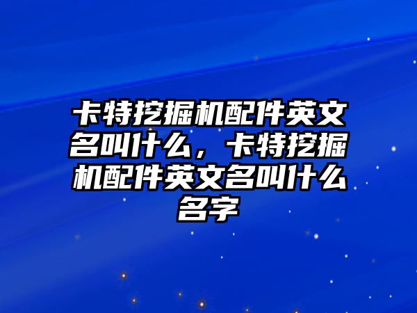 卡特挖掘機配件英文名叫什么，卡特挖掘機配件英文名叫什么名字