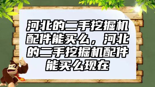 河北的二手挖掘機配件能買么，河北的二手挖掘機配件能買么現在