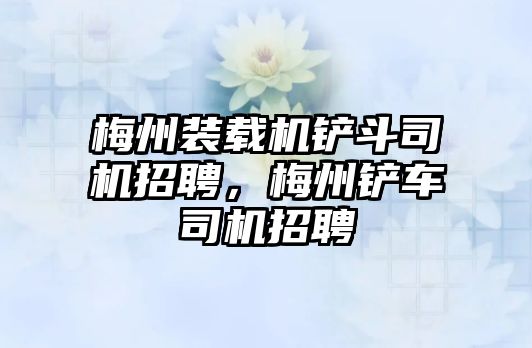 梅州裝載機鏟斗司機招聘，梅州鏟車司機招聘