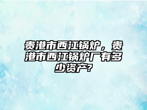 貴港市西江鍋爐，貴港市西江鍋爐廠有多少資產(chǎn)?