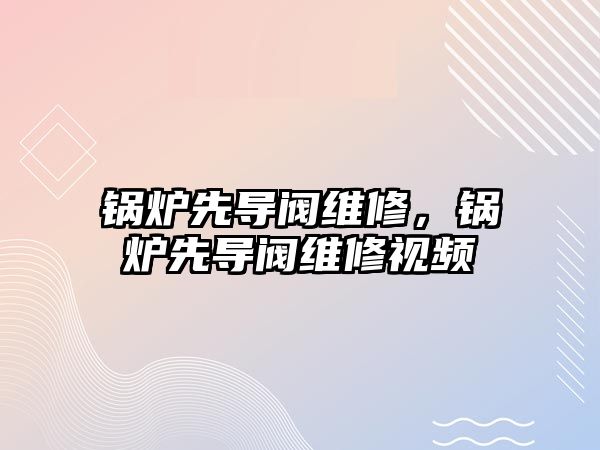 鍋爐先導閥維修，鍋爐先導閥維修視頻