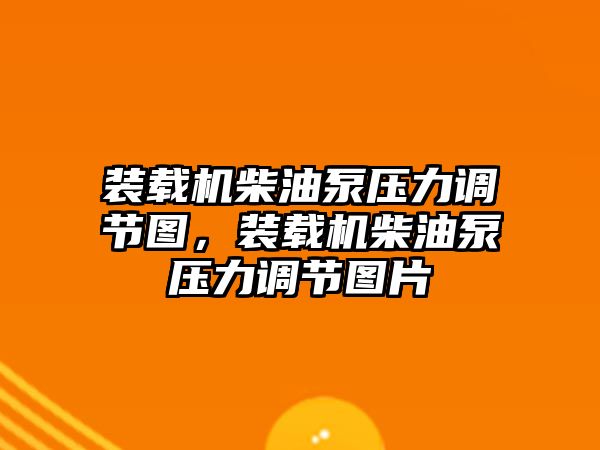 裝載機柴油泵壓力調節圖，裝載機柴油泵壓力調節圖片