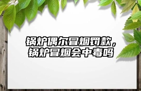 鍋爐偶爾冒煙罰款，鍋爐冒煙會中毒嗎