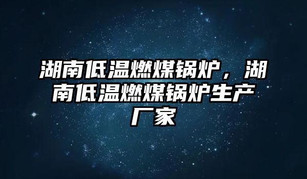 湖南低溫燃煤鍋爐，湖南低溫燃煤鍋爐生產(chǎn)廠家