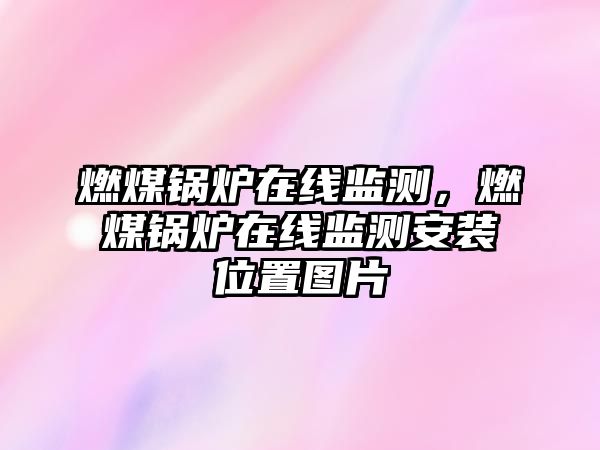 燃煤鍋爐在線監測，燃煤鍋爐在線監測安裝位置圖片