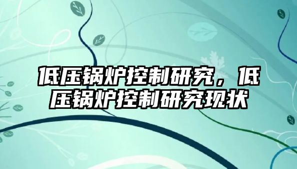 低壓鍋爐控制研究，低壓鍋爐控制研究現(xiàn)狀