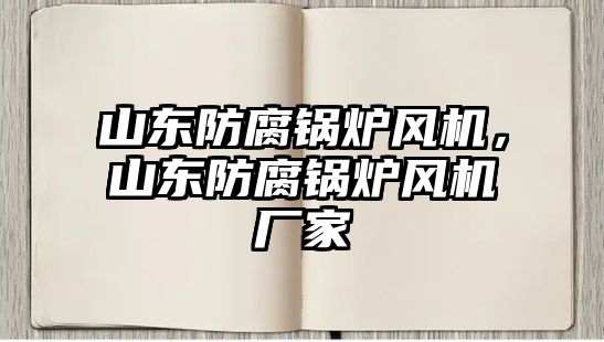 山東防腐鍋爐風機，山東防腐鍋爐風機廠家